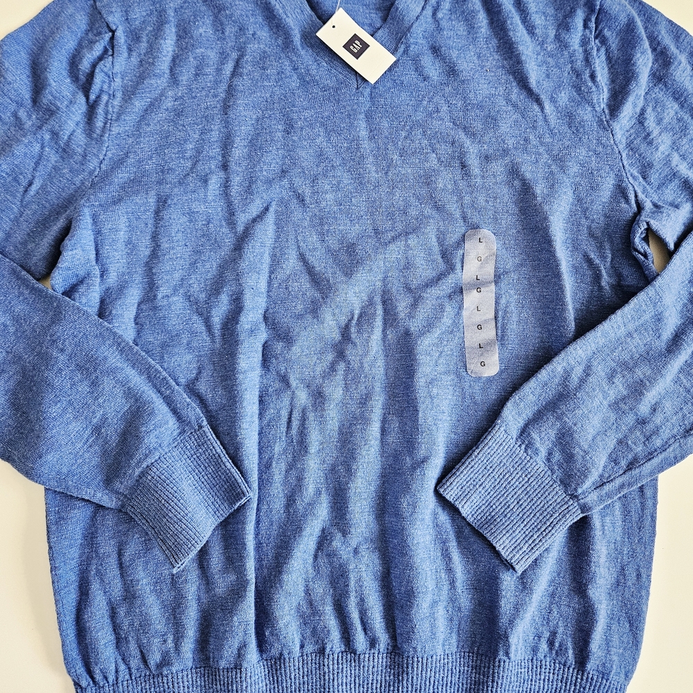 GAP Men's V-Neck Sweater in Blue